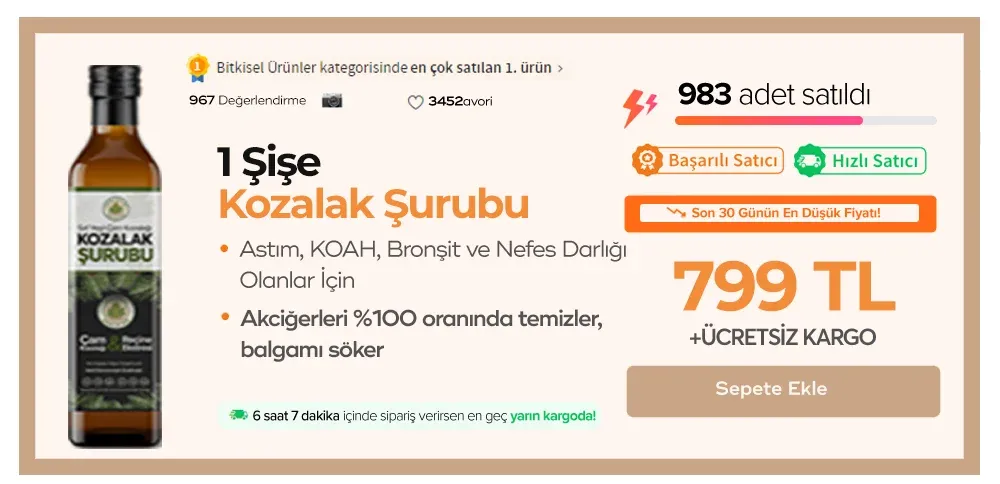 1 Şişe Kozalak Şurubu